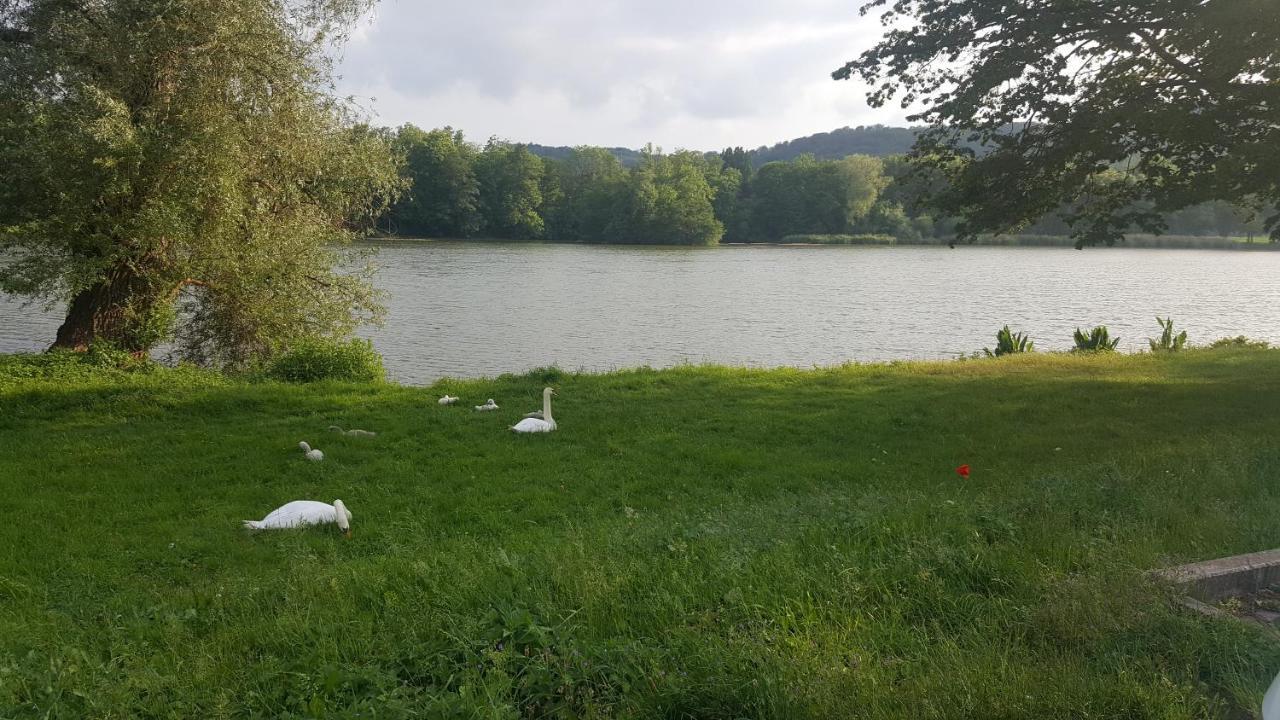 Ferienhaus Am Teich Rottleberode Exterior foto